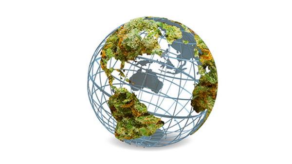 Global Cannabis Update